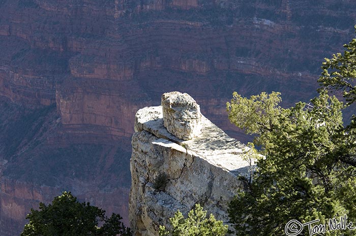 Canyonlands_20080530_195038_779_2X.jpg - A rock and ledge stand out in sunlight against the shadows in the deep canyon.  Grand Canyon North Rim, Arizona.