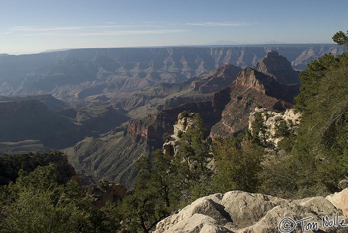 Canyonlands_20080531_103920_438_20.jpg - Full sunlight now reaches most of the canyon.  Grand Canyon North Rim, Arizona.