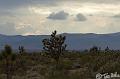 Canyonlands_20080524_211942_997_2X