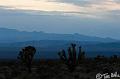 Canyonlands_20080524_223650_088_2X