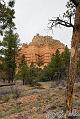 Canyonlands_20080526_142808_644_20