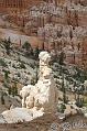 Canyonlands_20080526_170828_873_2X