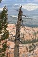 Canyonlands_20080526_175312_054_2X