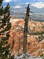 Canyonlands_20080526_175354_424_S