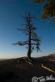 Canyonlands_20080527_084120_764_20