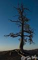 Canyonlands_20080527_084124_766_20