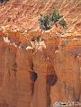 Canyonlands_20080527_172220_437_S