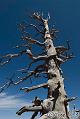 Canyonlands_20080527_172510_996_20