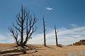 Canyonlands_20080527_172834_999_20