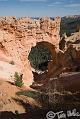 Canyonlands_20080527_183858_013_20