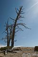 Canyonlands_20080528_120230_044_20