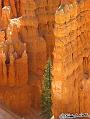 Canyonlands_20080528_121356_444_S