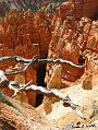 Canyonlands_20080528_123252_445_S