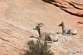 Canyonlands_20080528_171852_827_2X