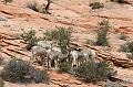 Canyonlands_20080528_171934_831_2X