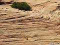 Canyonlands_20080528_173536_448_S