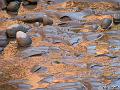 Canyonlands_20080529_105226_460_S