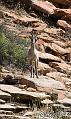 Canyonlands_20080530_122034_567_2X