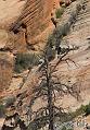 Canyonlands_20080530_124418_585_2X