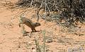 Canyonlands_20080530_160000_684_2X