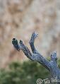 Canyonlands_20080531_092540_013_2X