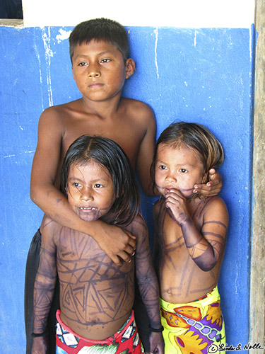 CostaRica_20100319_130212_081_S.jpg - Embera truly are people of the forest; they live almost completely as gatherers with some foreign exchange from tourism paying for tools and supplies they can't make themselves.  Darien, Panama.